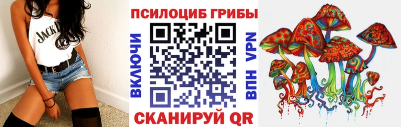 Псилоцибиновые грибы Psilocybe кракен сайт Пионерский купить наркоту