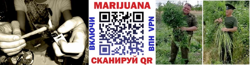 Шишки марихуана White Widow  нарко площадка как зайти  Пионерский  закладка 